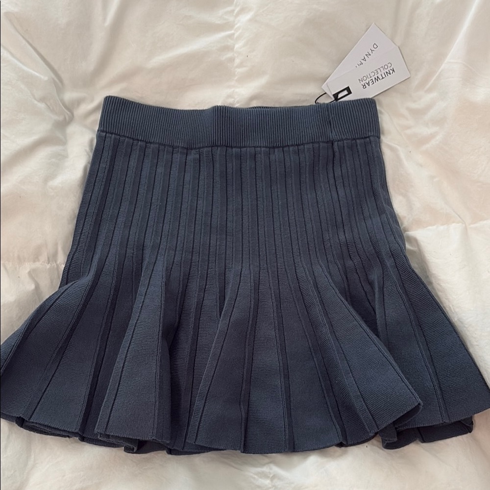Dynamite knit mini skirt